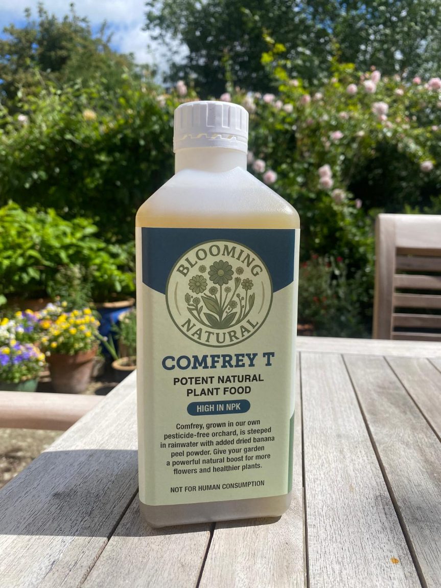 Comfrey Tea — 1 litre bottle