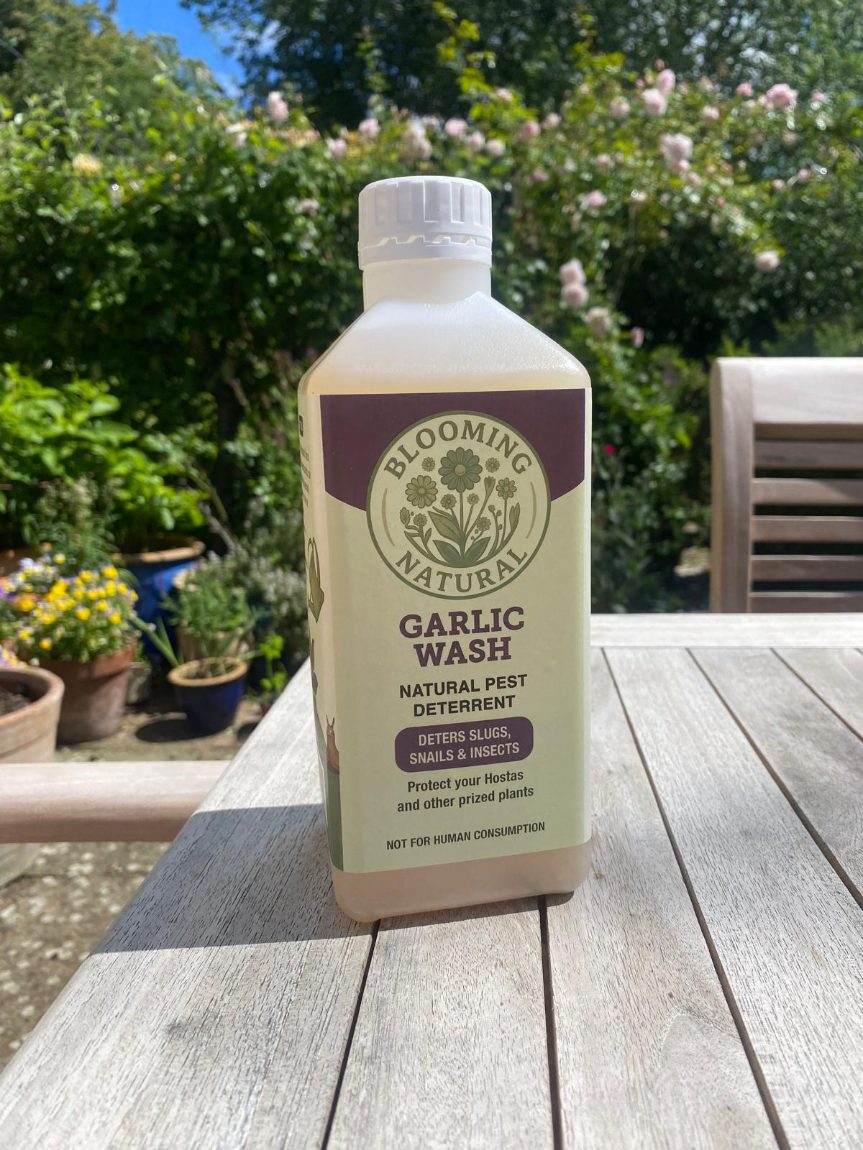 Garlic Wash — 1 litre bottle