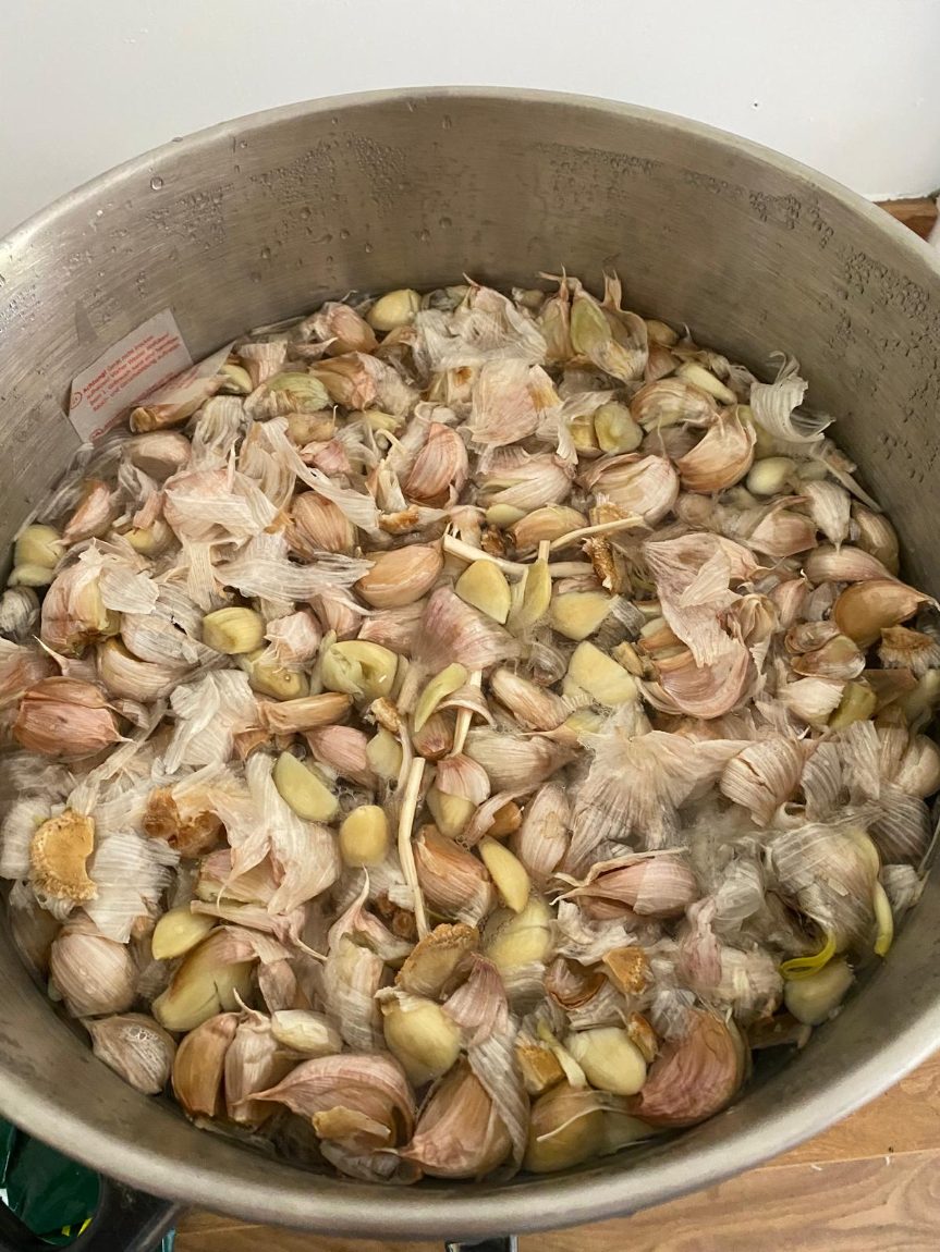 Gently simmered